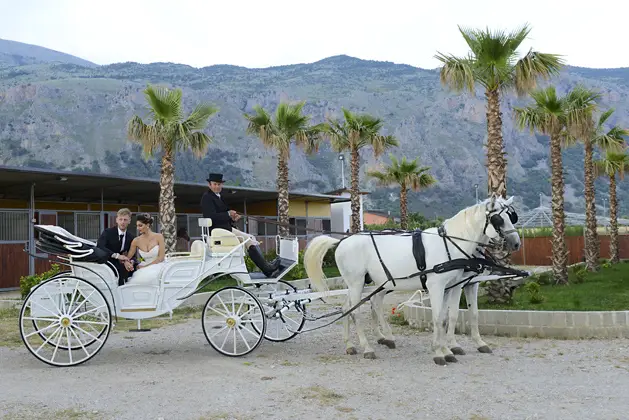 carrozza-matrimonio2_2_177974