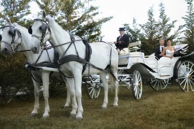 carrozza-matrimonio7_2_177974